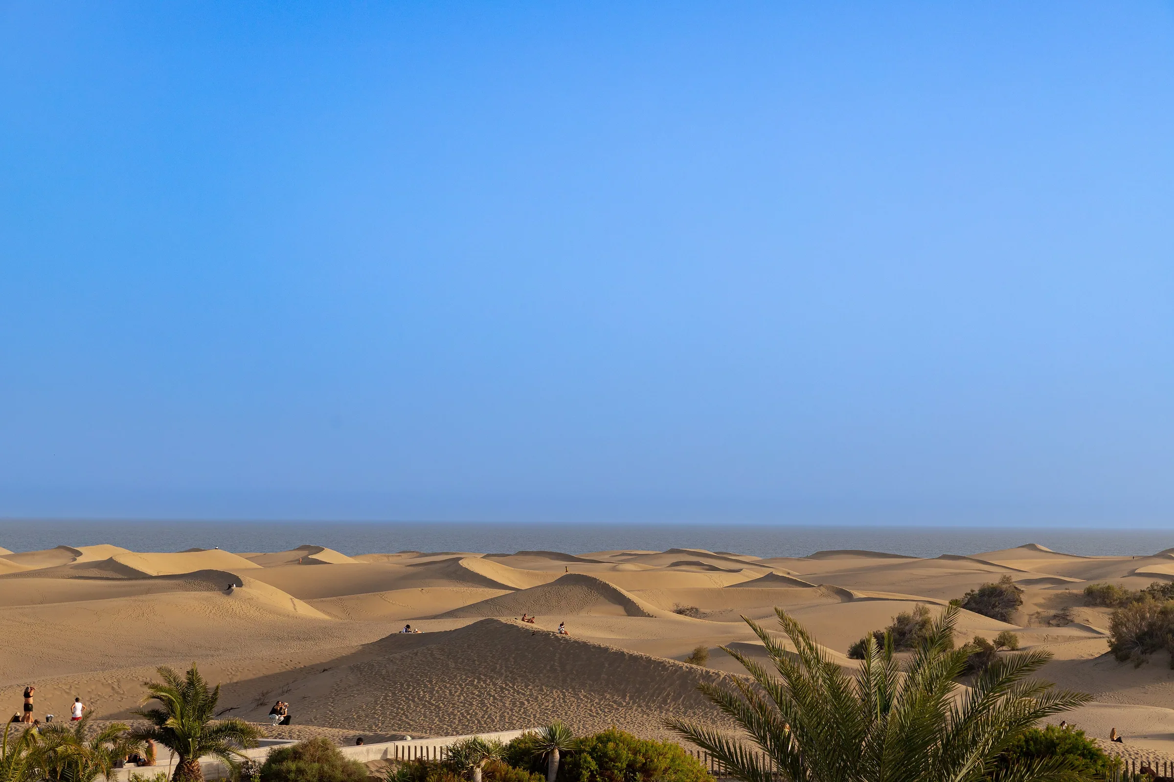 Dünen von Maspalomas