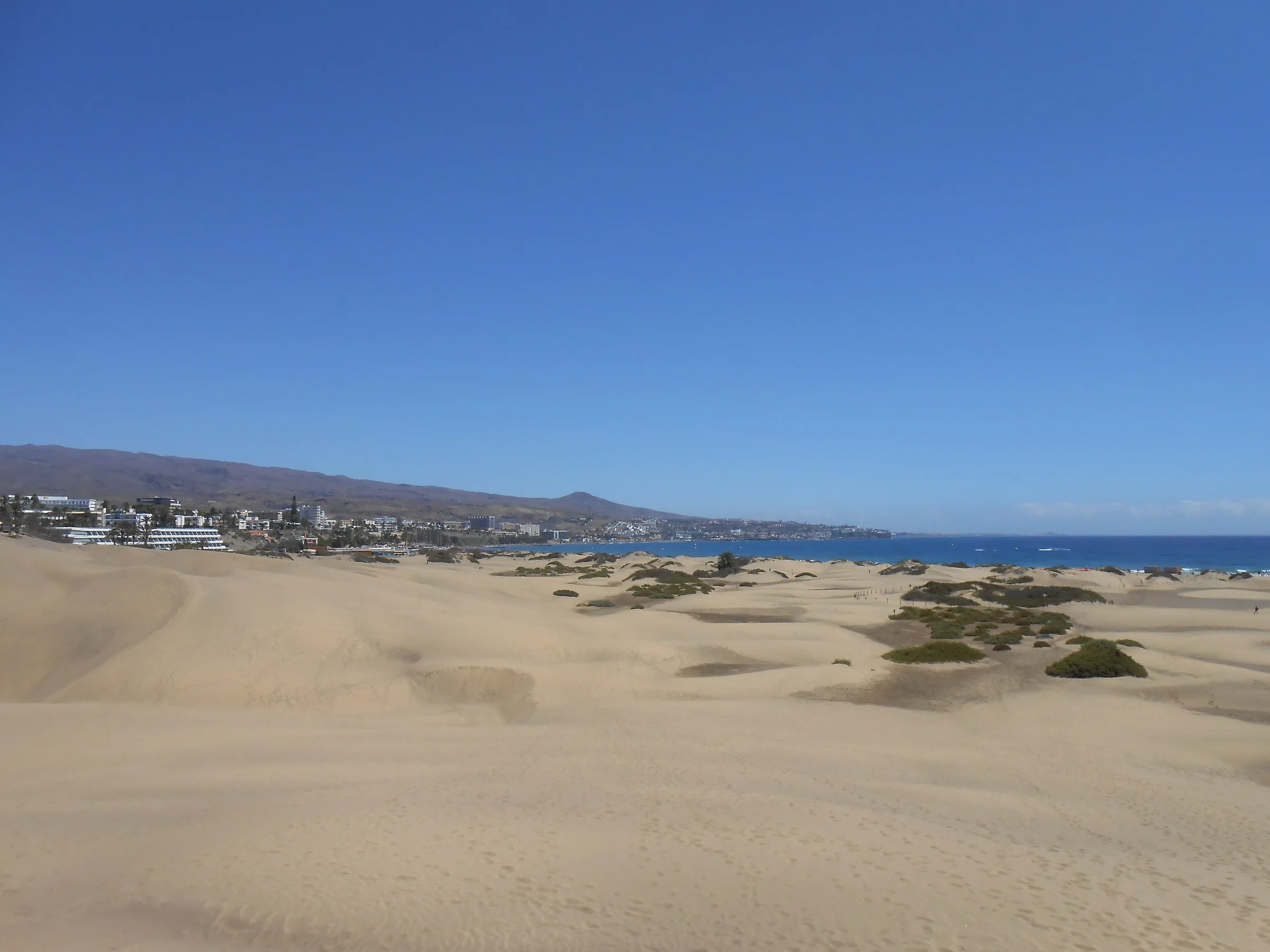 Strandkiosk 7, „El Siete“