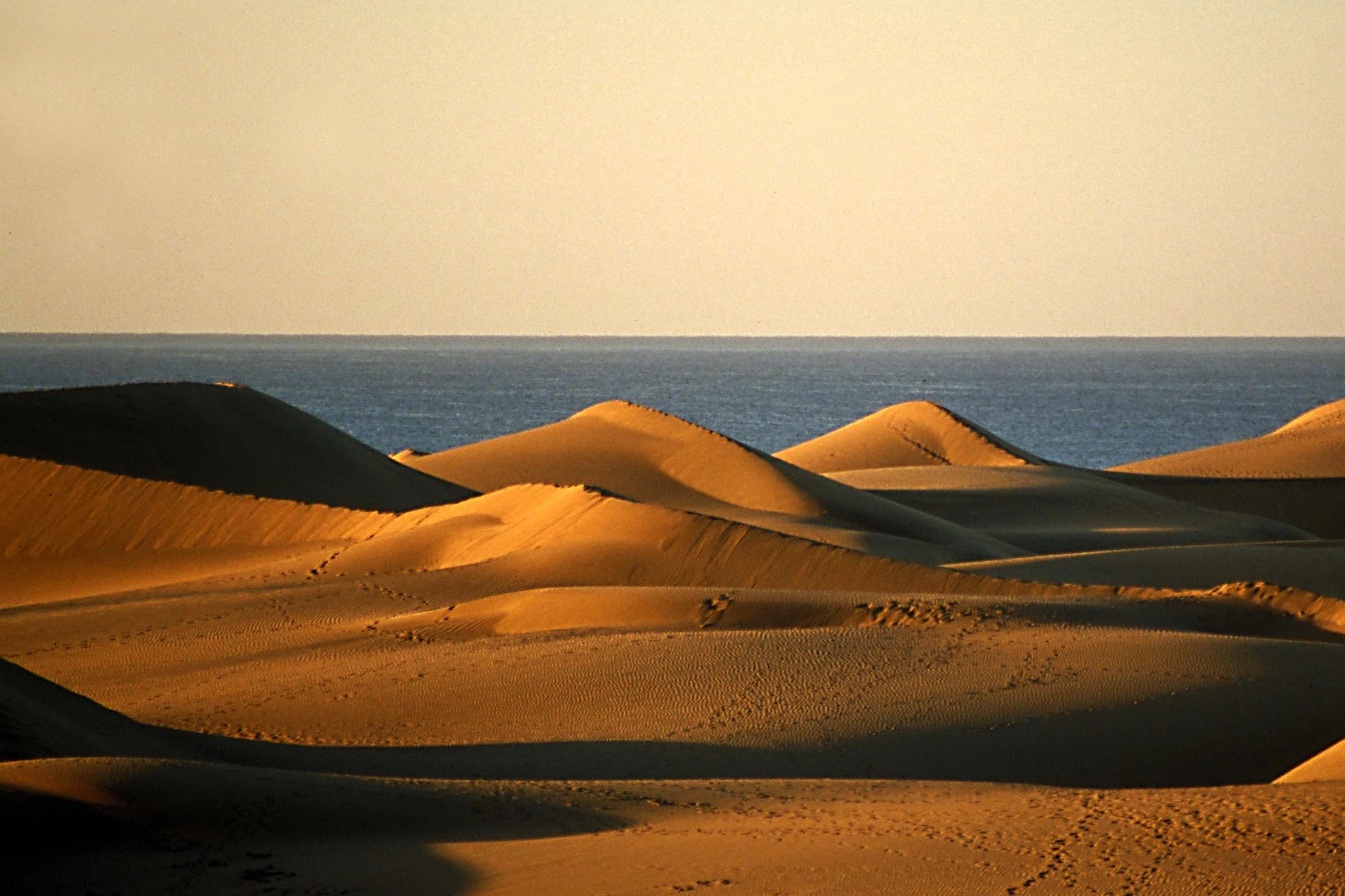 Dunas de Maspalomas
